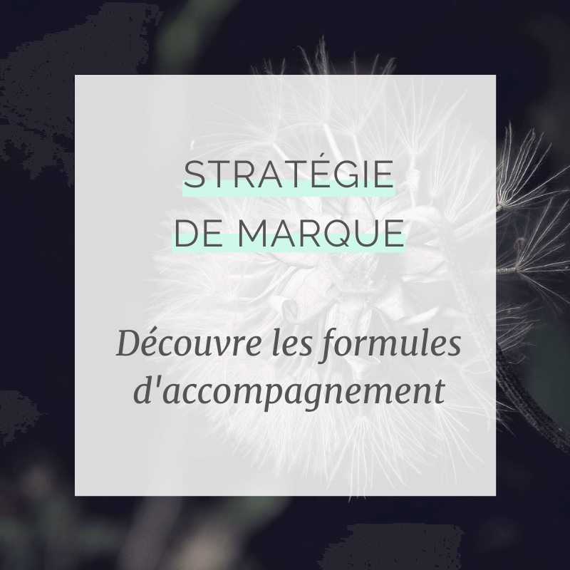Découvre les formules d'accompagnement à la stratégie de marque