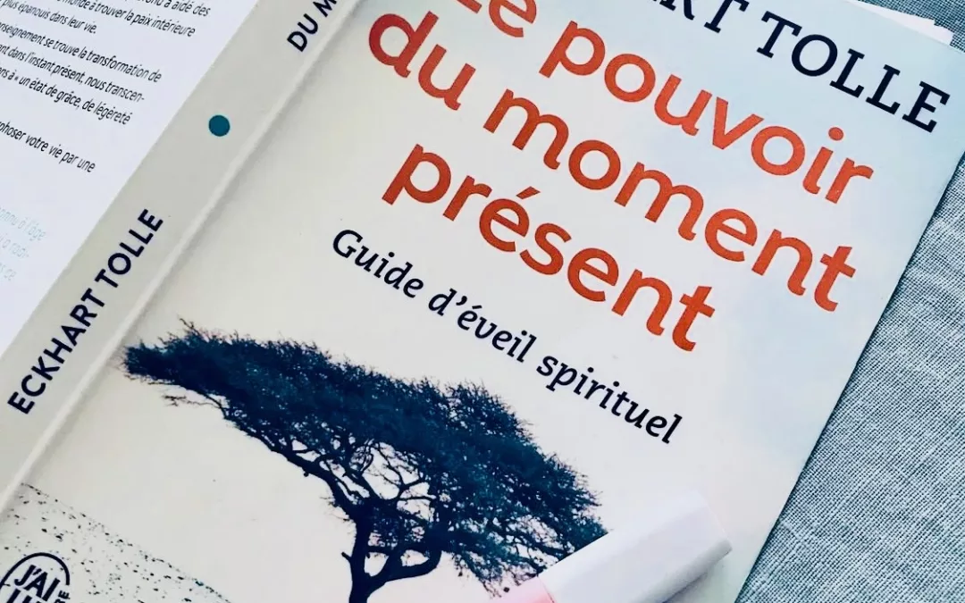 Morceaux choisis : Le pouvoir du moment présent