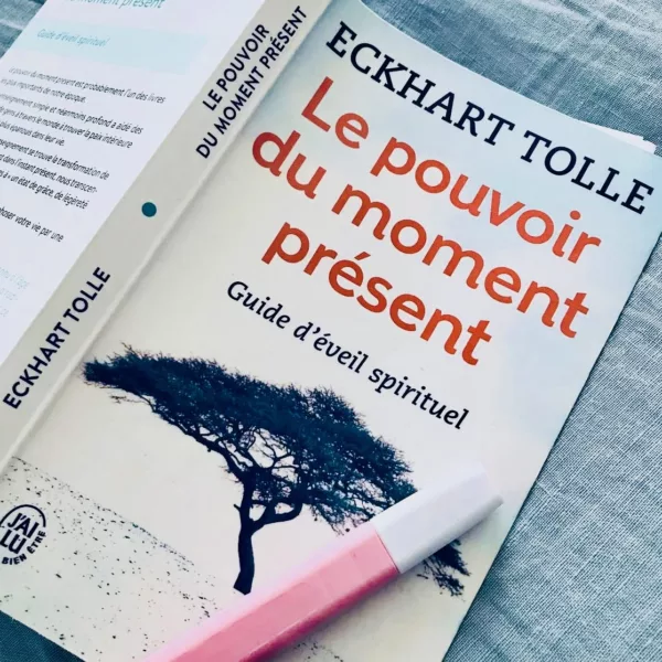 Morceaux choisis : Le pouvoir du moment présent