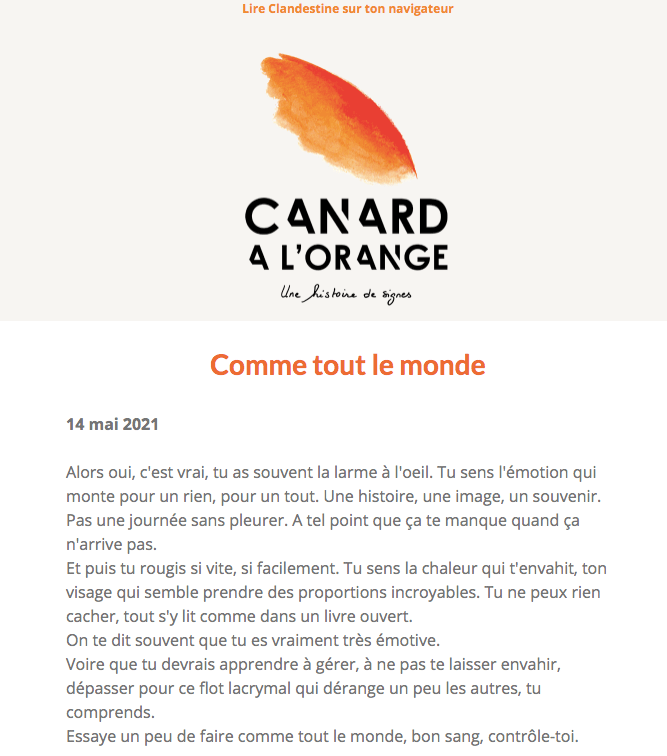 Communiquer sans réseaux sociaux : le choix de la newsletter.