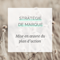 Accompagnement mensuel à la mise en oeuvre de la stratégie de marque