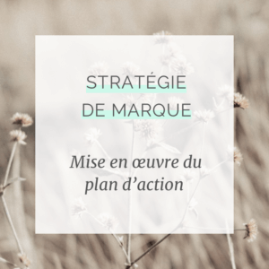 Accompagnement mensuel à la mise en oeuvre de la stratégie de marque
