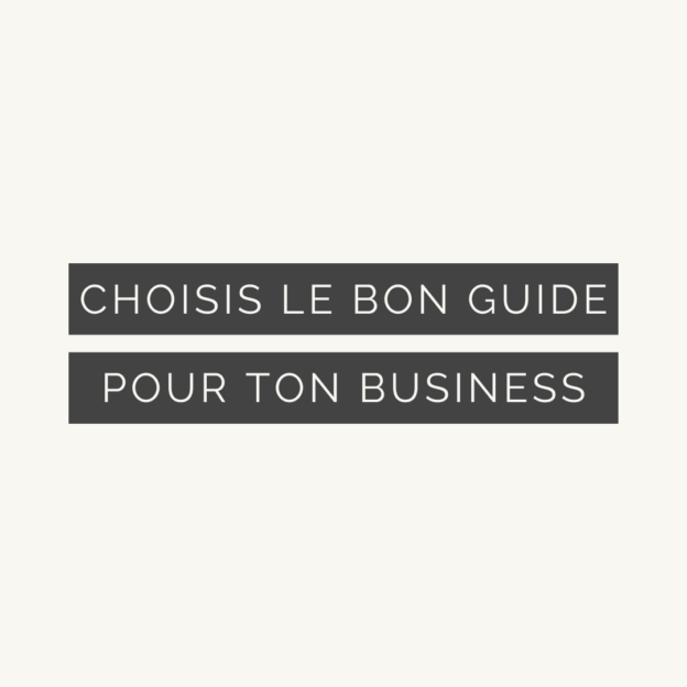 Choisis le bon guide pratique pour ton business