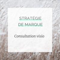 Consultation visio en stratégie de marque