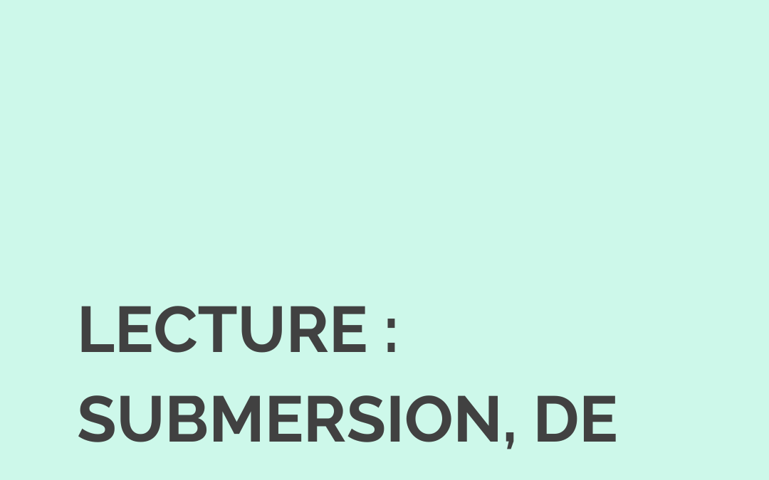 Morceaux choisis : Submersion, de Bruno Patino
