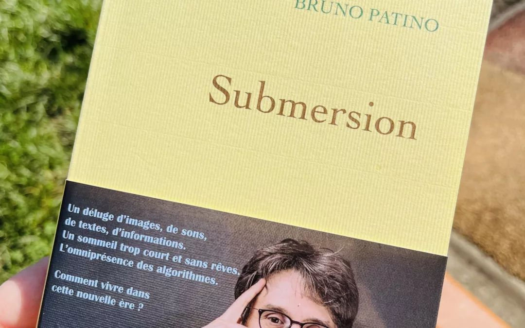 Morceaux choisis : Submersion, de Bruno Patino