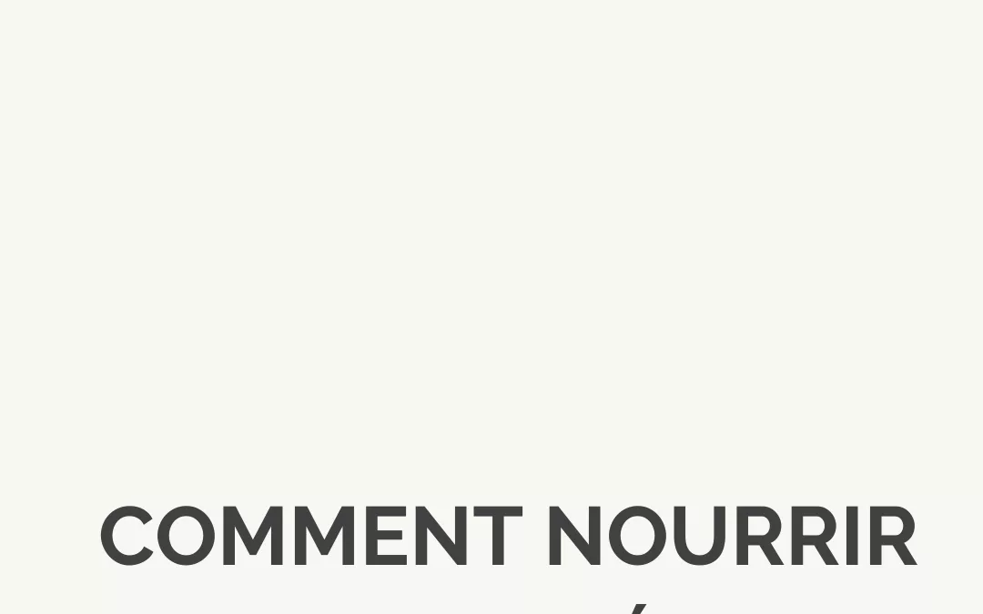 Comment nourrir ta curiosité (online et offline)